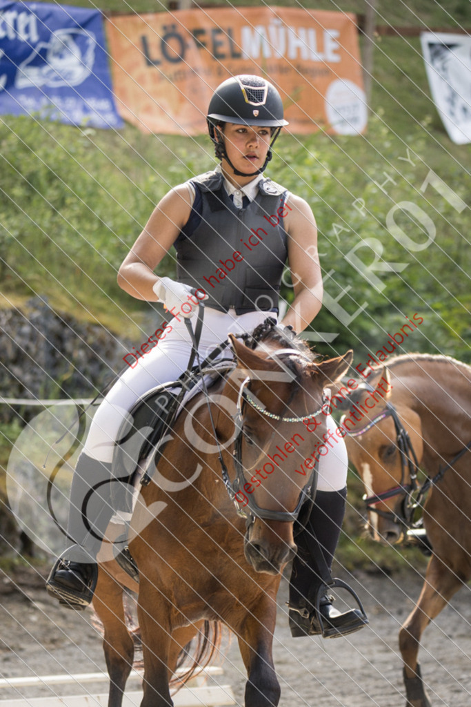 IMG_6012 | Sport-, Event- und Tierfotos in Profiqualität. Einfach auswählen, bestellen und herunterladen. Dein Moment – perfekt festgehalten.