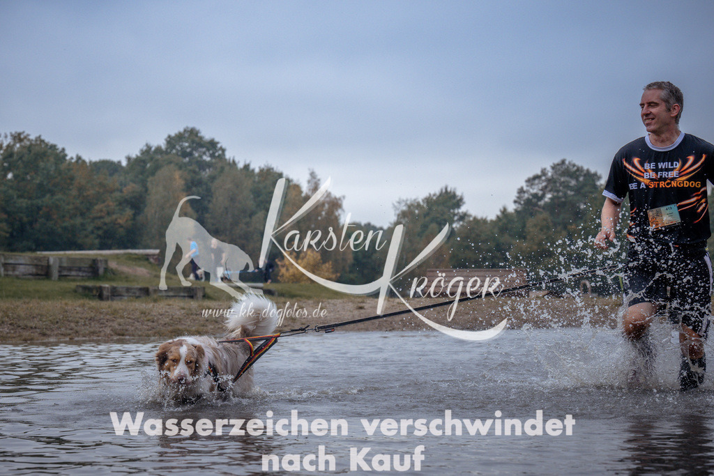 1155_ZZ97453 | kk-dogfotos