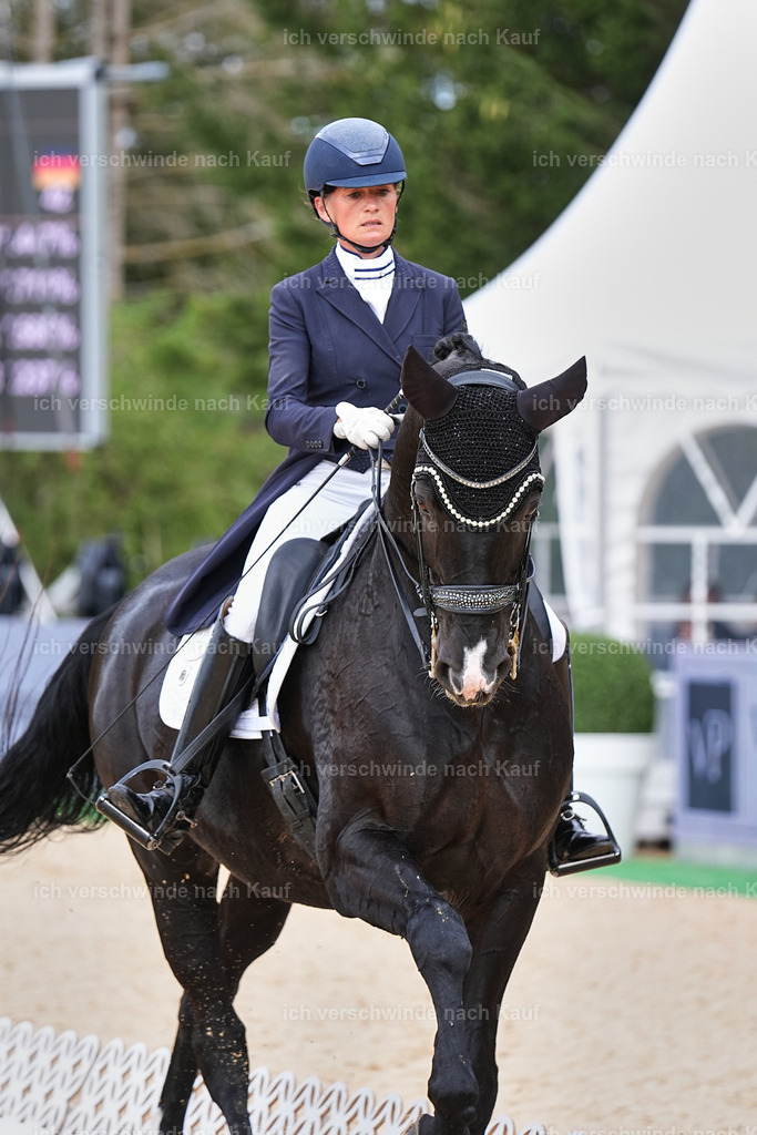 11-042-Dressur S___-StoibPH-1161 | working equitationturnier fotograf videograf stoibphotography marixx film working equitation deutschland reitsport turnierfotografie eventfotografie equestrian events