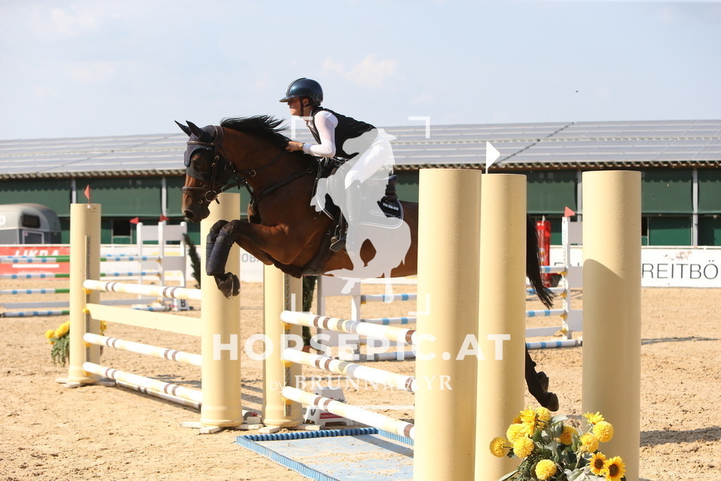 DL2Q2119 | Willkommen bei Brunnmayr - Design & Fotografie – Ihrem Spezialisten für Reitturniere und Pferdeveranstaltungen in Oberösterreich, Salzburg und Bayern! Seit über 17 Jahren sind wir leidenschaftlich dabei.