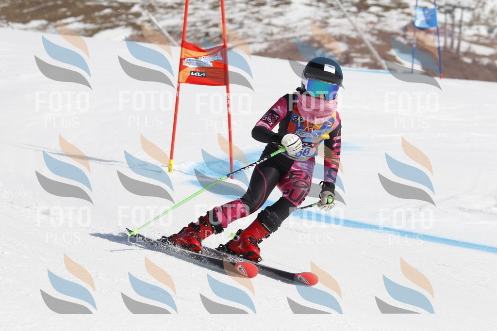 _U3G9570 | holidayphoto