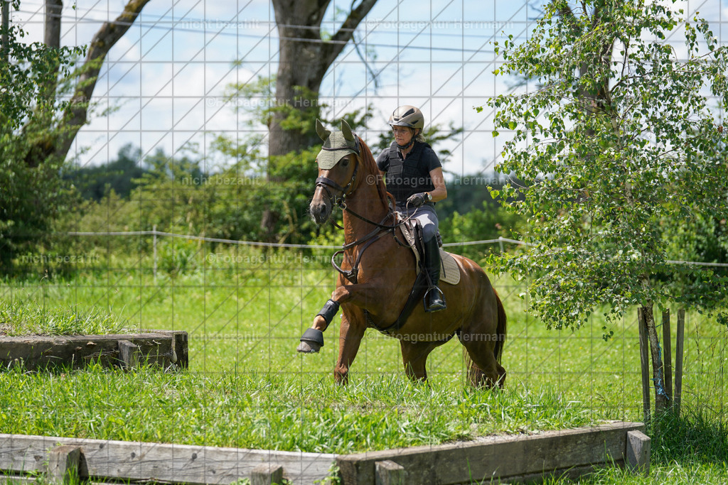 20240622-FAH06993 | Turnierfotografen Bayern, Reitsportbilder aus dem Geländekurs mit Felix Etzel auf dem Gut Waitzacker 2024