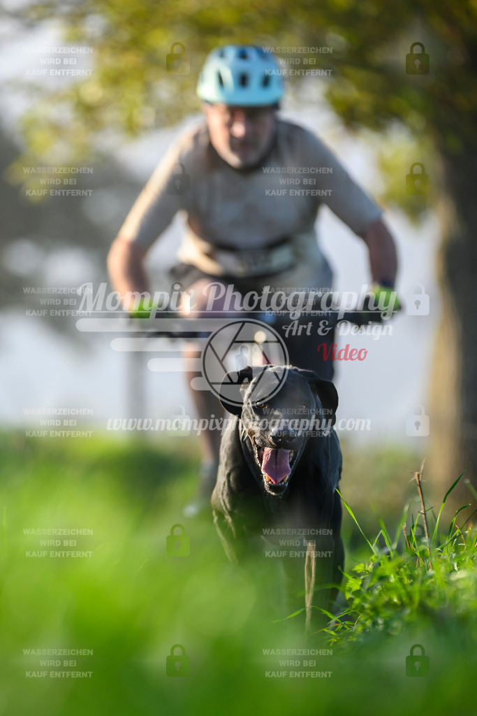 MompixPhotography_20TSB_E3_Bike-190 | PayLife