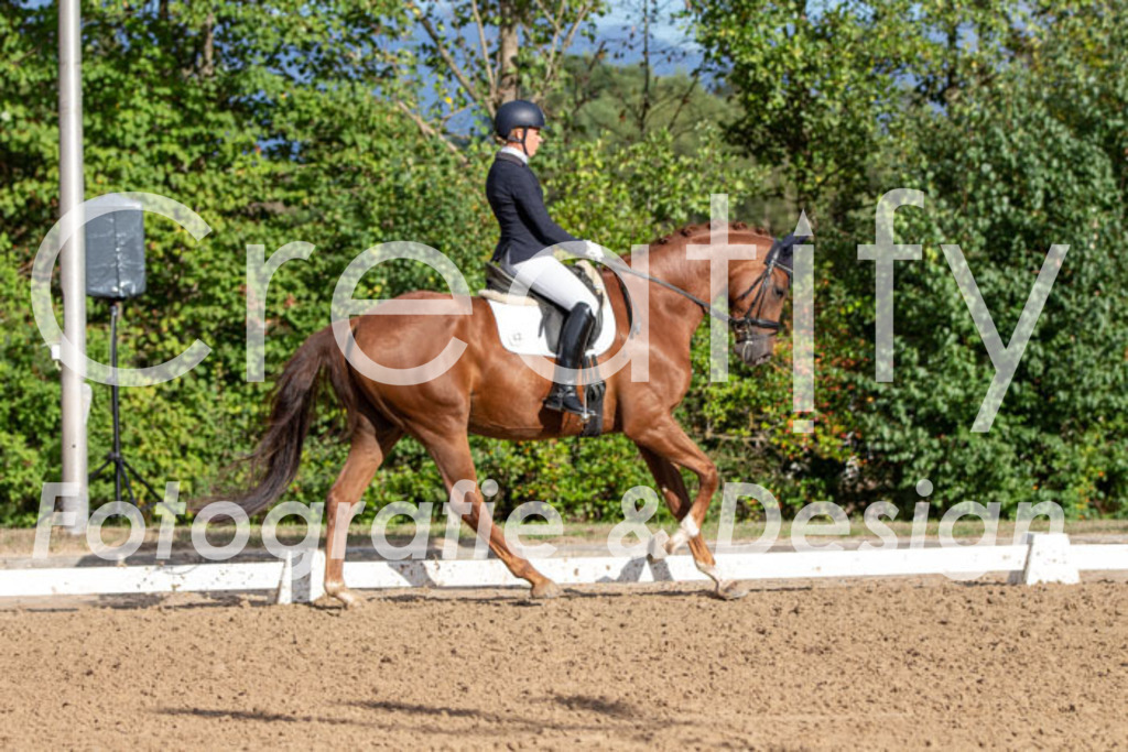 IMG_4763 | Creatify Fotografie