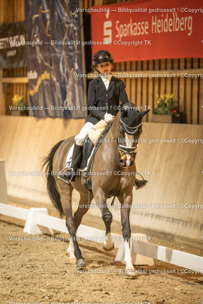 _D5A8216 | Emotionale Pferde- & People-Fotografie rund um Heidelberg, Leimen & Umgebung. Natürliche Fotos von Pferd, Mensch & Familie. Jetzt Termin sichern!