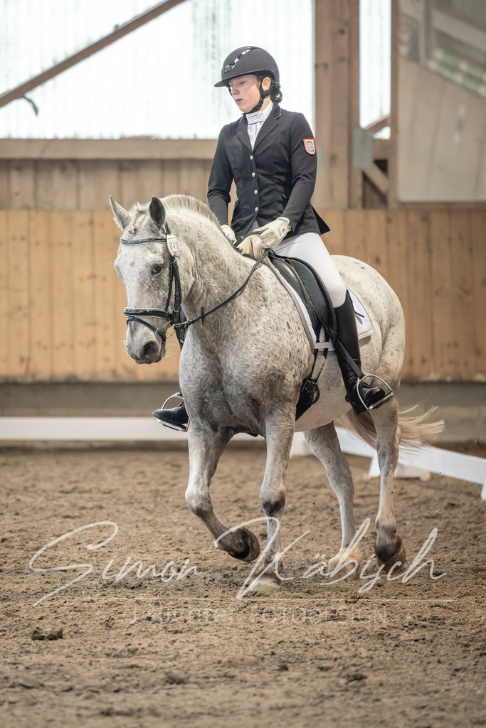 20251011-_3LI6880 | Tierfotografie Pferde, Hunde, Katzen, Haustiere.
Turnierfotografie Reitturniere, Reiten, Springreiten, Dressur in Hanau, dem Main-Kinzig-Kreis und dem Rhein-Main- Gebiet um Frankfurt