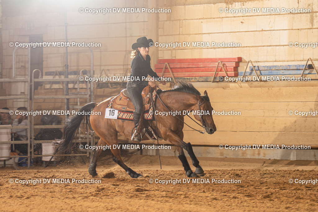 NID02014 | dv-media-shop - Realisiert mit Pictrs.com