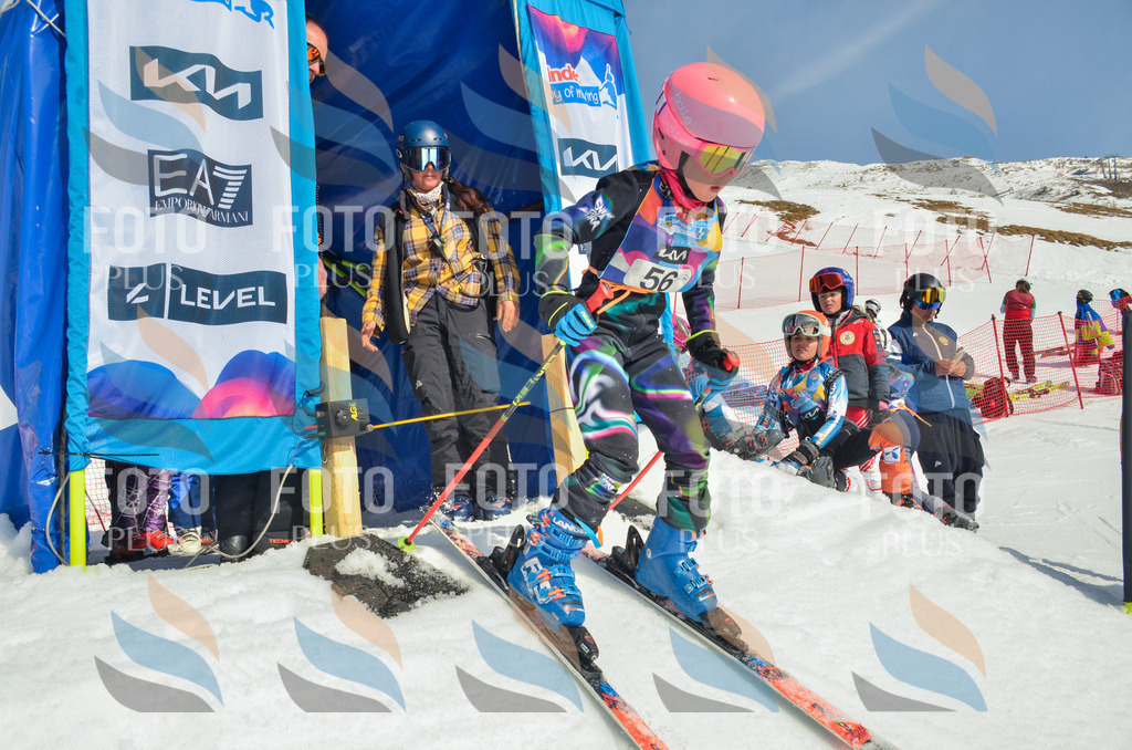 _ELE5262 | holidayphoto