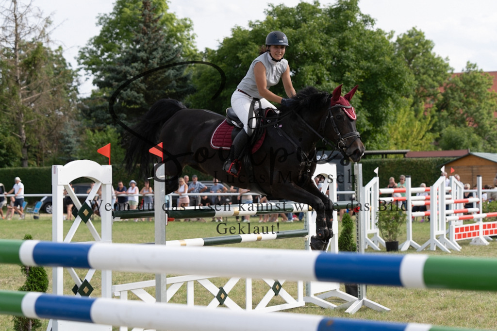 A7V02694 | Pferdefotograf