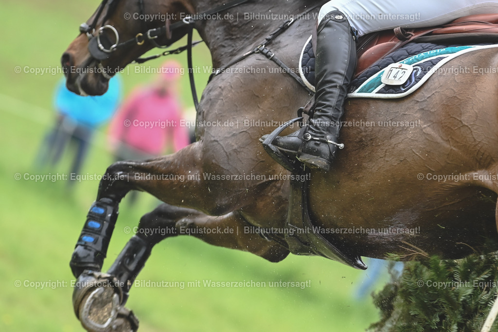 20230513_CCI4_Gelände_0578 | equistock