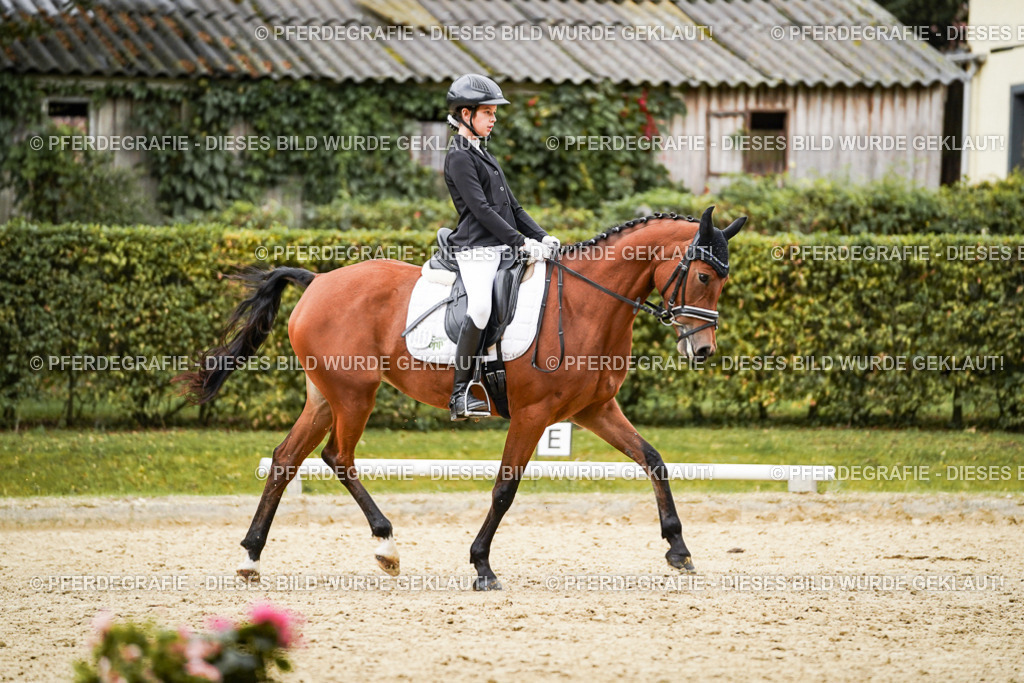 DSC07923 | Pferdegrafie