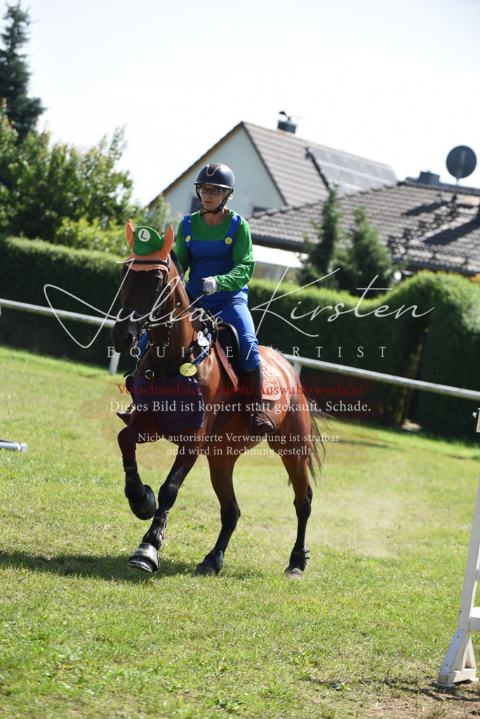 DSC_0255 | Pferde- und Turnierfotografie in Westsachsen. Pferdeportraits, Auftragszeichnungen und intuitive Kunst.