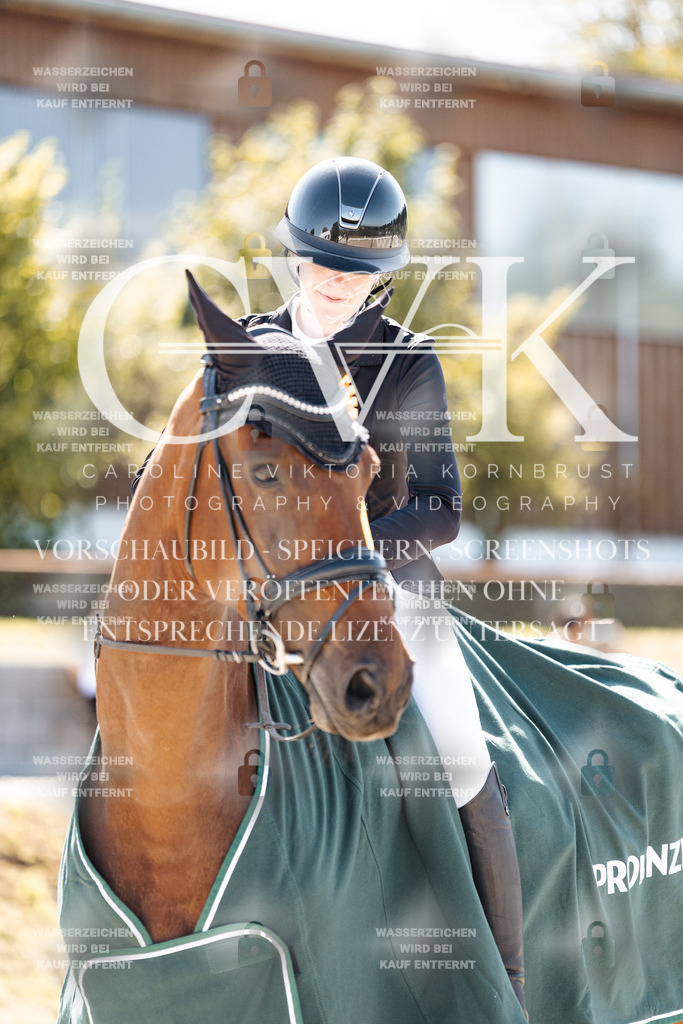 CK904260 | Turnierfotografie Pferdefotografie Trier Rheinland-Pfalz Pferdesport Reitsport Tierfotografie Sportfotografie Pferdevideo Pferdevideografie Equestrianvideography equestrianphotography  - Realisiert mit Pictrs.com