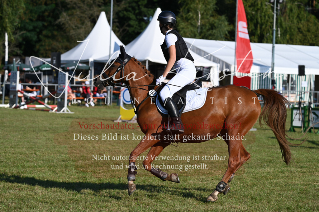 DSC_4807 | Pferde- und Turnierfotografie in Westsachsen. Pferdeportraits, Auftragszeichnungen und intuitive Kunst.