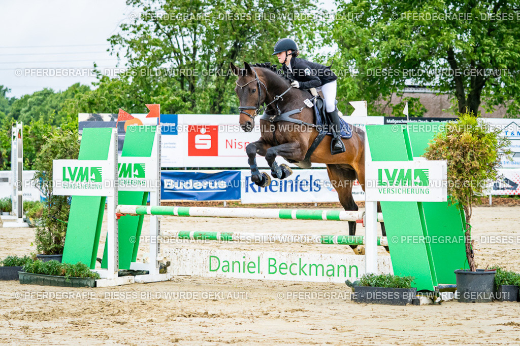 DSC01994 | Pferdegrafie