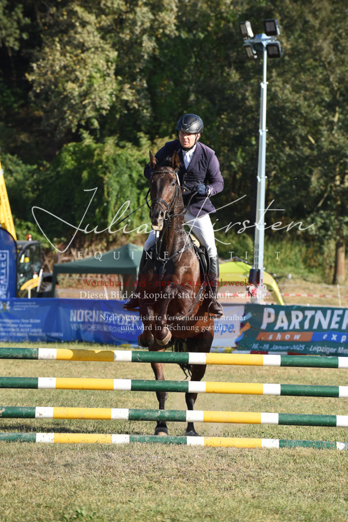 DSC_5113 | Pferde- und Turnierfotografie in Westsachsen. Pferdeportraits, Auftragszeichnungen und intuitive Kunst.