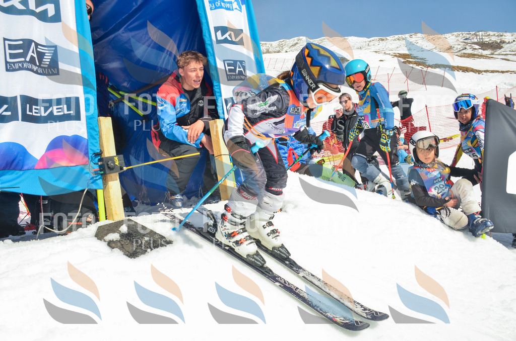 _ELE5845 | holidayphoto