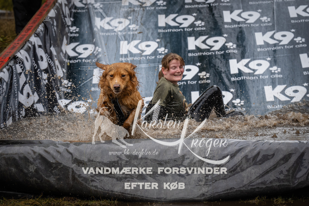 1254_ZZ90816 | kk-dogfotos