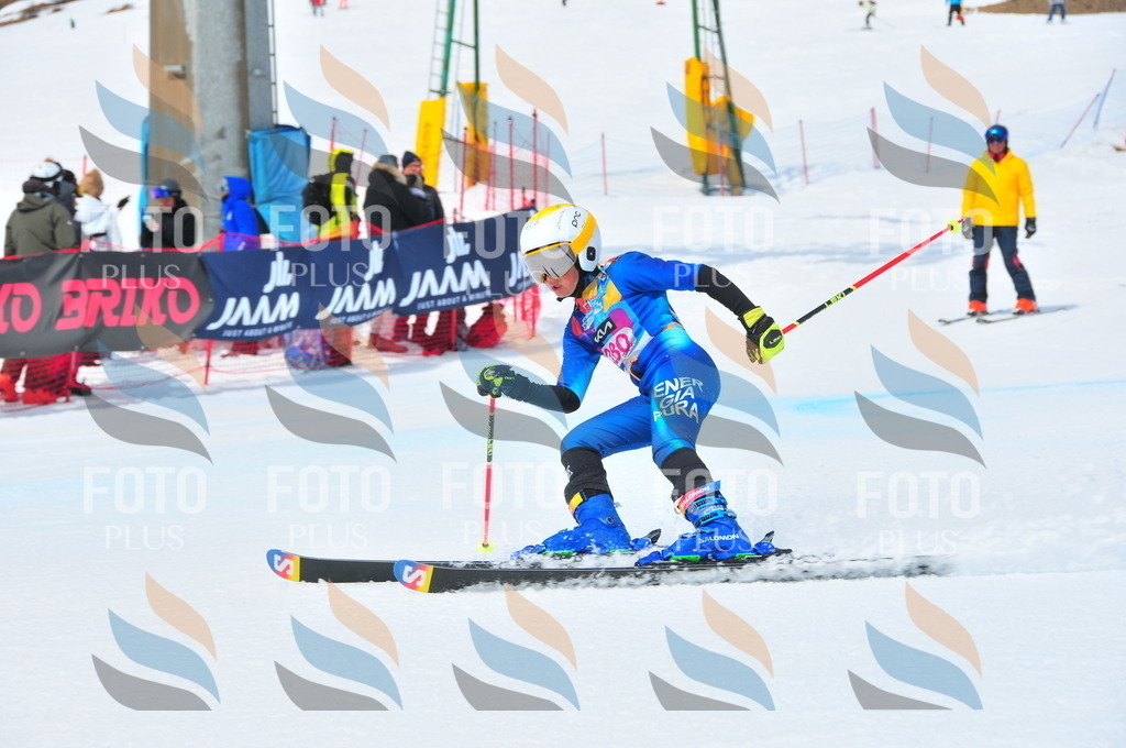 DSC_6353 | holidayphoto