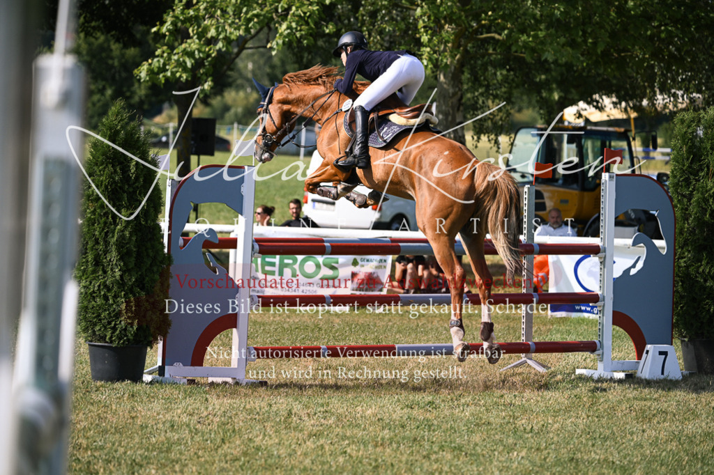 DSC_1218 | Pferde- und Turnierfotografie in Westsachsen. Pferdeportraits, Auftragszeichnungen und intuitive Kunst.