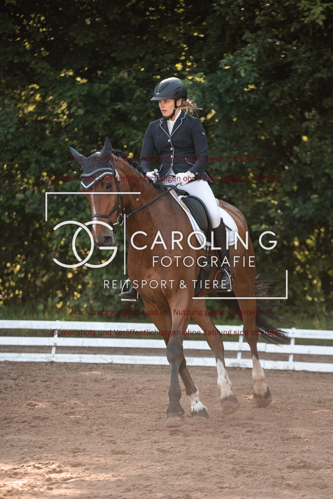 DSC_4637 | Turnierfotografin Carolin Gieschke,Reitsport Turnierfotografie Carolin G Fotografie | Turnierfotos aus Kirchheim/Teck, Esslingen, Stuttgart und dem Bodenseekreis