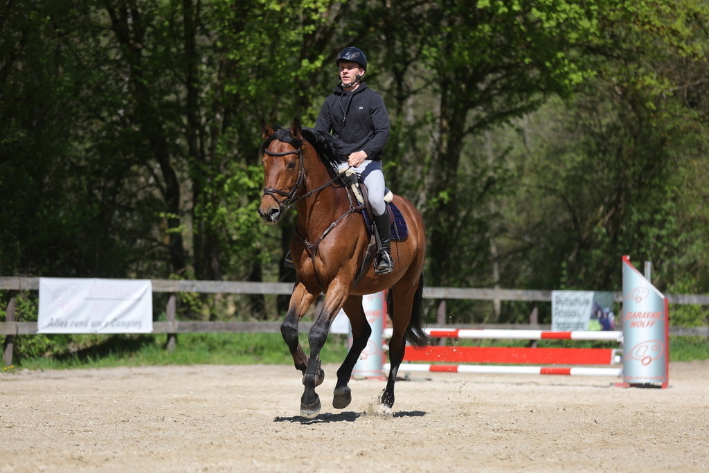 0P6A8161 | Willkommen bei Brunnmayr - Design & Fotografie – Ihrem Spezialisten für Reitturniere und Pferdeveranstaltungen in Oberösterreich, Salzburg und Bayern! Seit über 17 Jahren sind wir leidenschaftlich dabei.