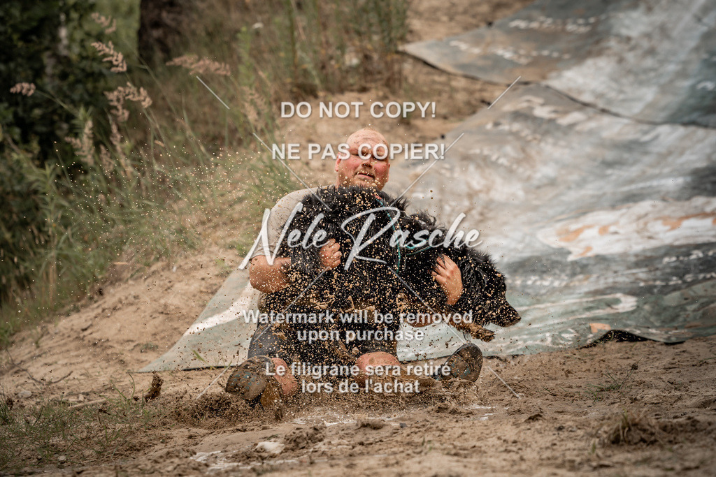 nelerasche_sa0800-1000_194 | nelerasche