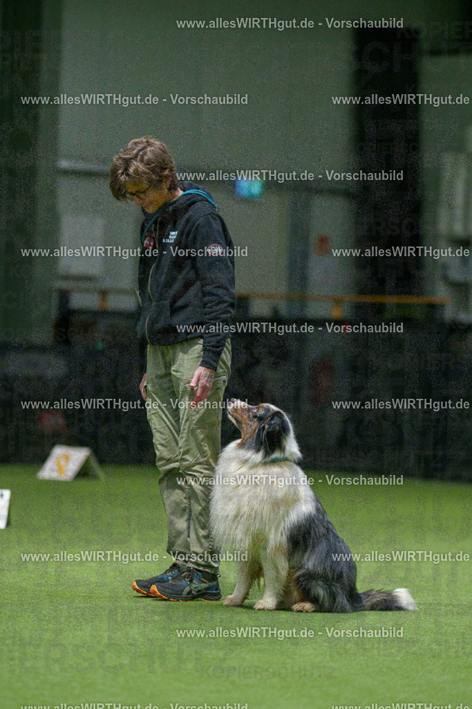 7R504700 | Professionelle Tierfotografie in Mönchengladbach von Daniel Wirth (allesWIRTHgut). Liebevolle & natürliche Bilder von Hunden & Katzen für unvergessliche Erinnerungen.