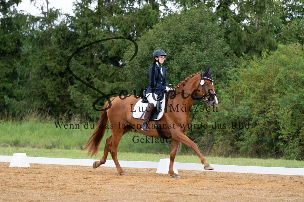 A7V03790 | Turnier/Reitfotograf