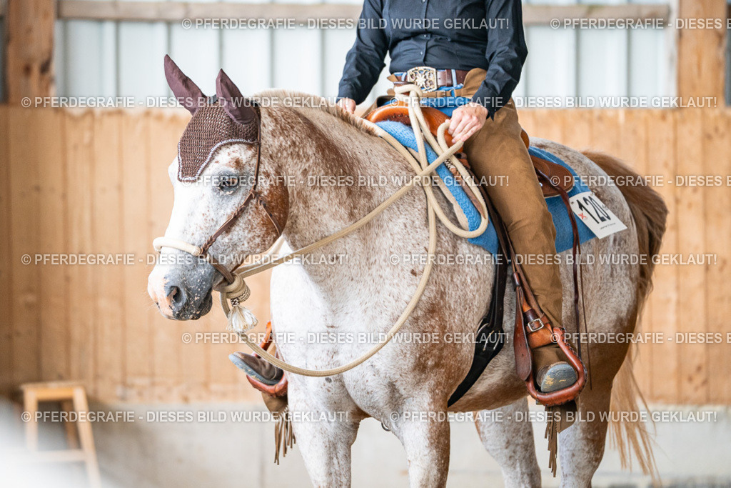 DSC08593 | Pferdegrafie