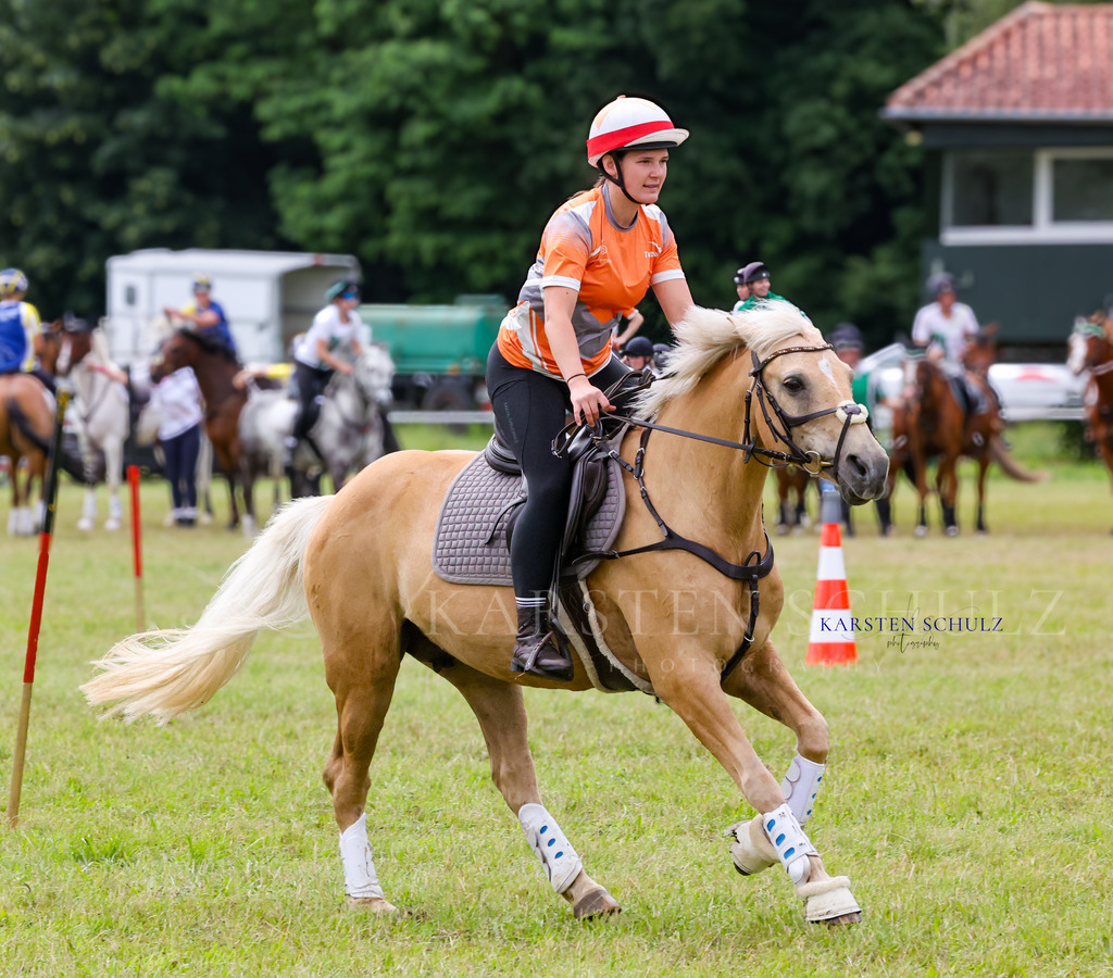 1B3A4580 | Reitsport Reiten