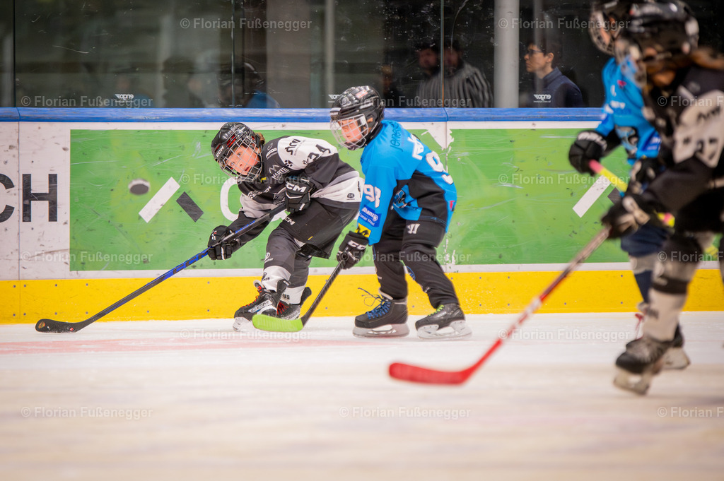 DSC_3079 | "Fussifoto.com – Ihr Ansprechpartner für hochwertige Fotografie! Entdecken Sie kreative Bilder und professionelle Dienstleistungen. Kontaktieren Sie uns für Ihre Projekte!"