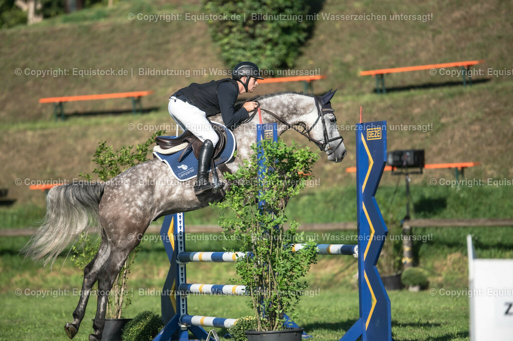 20230908_14-15_Springpferde-A_0014 | equistock