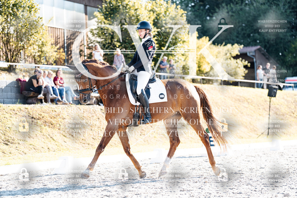 CK906688 | Turnierfotografie Pferdefotografie Trier Rheinland-Pfalz Pferdesport Reitsport Tierfotografie Sportfotografie Pferdevideo Pferdevideografie Equestrianvideography equestrianphotography  - Realisiert mit Pictrs.com