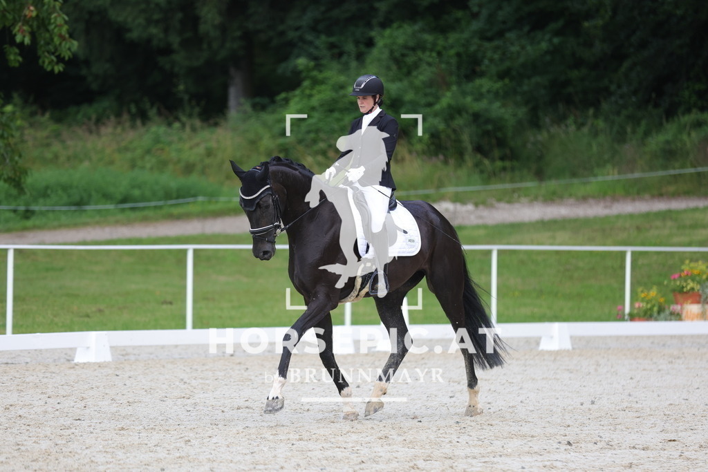 0P6A8874 | Willkommen bei Brunnmayr - Design & Fotografie – Ihrem Spezialisten für Reitturniere und Pferdeveranstaltungen in Oberösterreich, Salzburg und Bayern! Seit über 17 Jahren sind wir leidenschaftlich dabei.