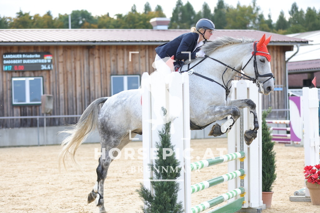 0P6A9548 | Willkommen bei Brunnmayr - Design & Fotografie – Ihrem Spezialisten für Reitturniere und Pferdeveranstaltungen in Oberösterreich, Salzburg und Bayern! Seit über 17 Jahren sind wir leidenschaftlich dabei.