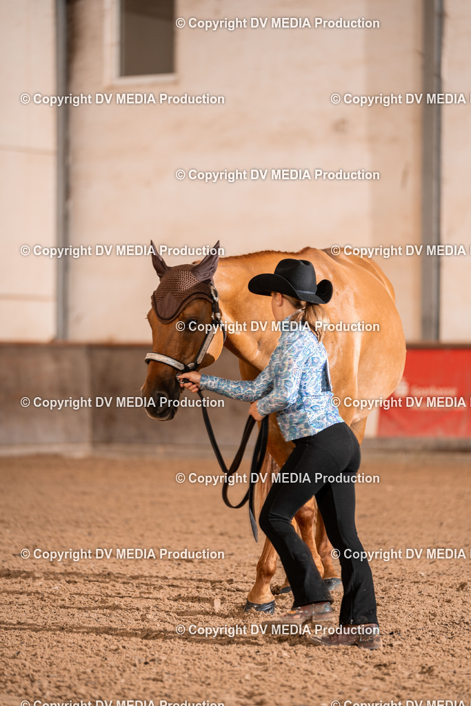 LM Heiligenwald Tag 1-33 | dv-media-shop - Realisiert mit Pictrs.com