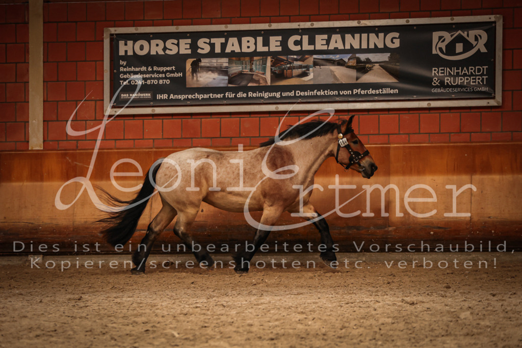 SaFL00320 | Leoni Ertmer Photography - Realisiert mit Pictrs.com