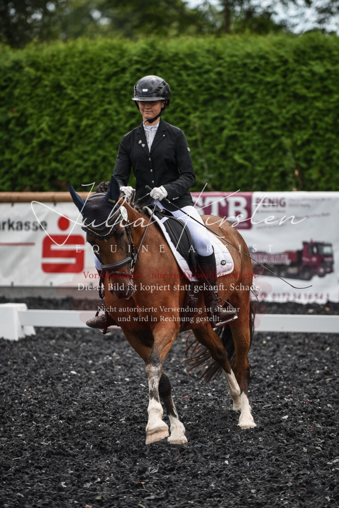 DSC_4514 | Pferde- und Turnierfotografie in Westsachsen. Pferdeportraits, Auftragszeichnungen und intuitive Kunst.