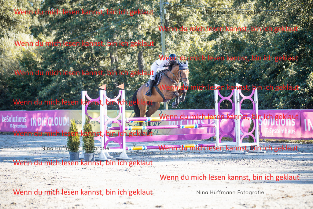 BK1A6130 | Turnierbilder Turnierfotos Nina Hüffmann Turnierfotografie Pferdefotografie Tierzeichnung Haustierzeichnung Pferdezeichnung Hundezeichnung Videograf  - Realisiert mit Pictrs.com