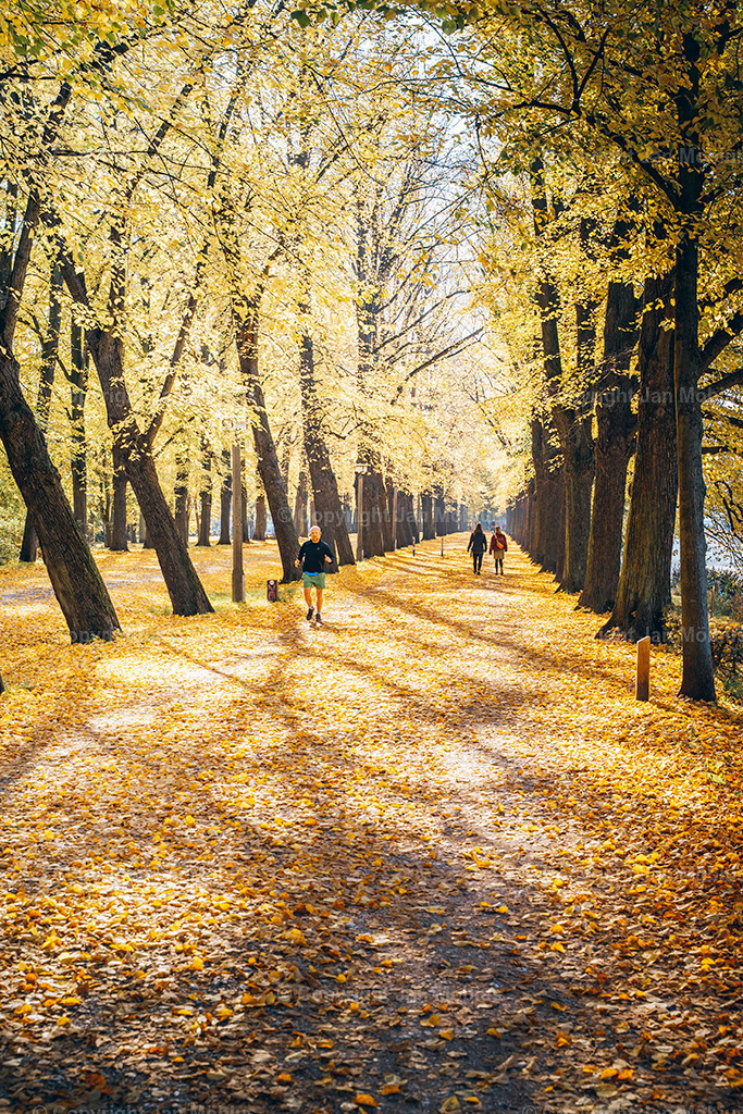 _DSC7477 | Leipzig Wandbilder Drucke Prints Leinwand Stadtmotive Leipzig Fotosdruck Kunstdrucke Bilder Leipzig Stadtansichten Acrylglasbilder Leipzig Wanddeko Fine Art Prints Wandbilder Büro Leipzig Bilder Praxis Zuhause Bilderdruck Poster Posterlounge Kunstdrucke - Realisiert mit Pictrs.com