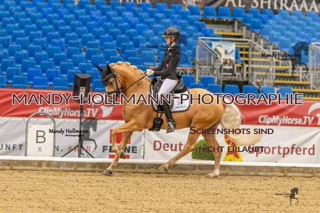 28-8-26 5j DRE-227 | mandyhollmannphotographie
