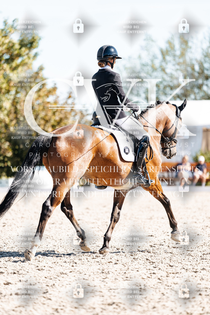 CK909244 | Turnierfotografie Pferdefotografie Trier Rheinland-Pfalz Pferdesport Reitsport Tierfotografie Sportfotografie Pferdevideo Pferdevideografie Equestrianvideography equestrianphotography  - Realisiert mit Pictrs.com