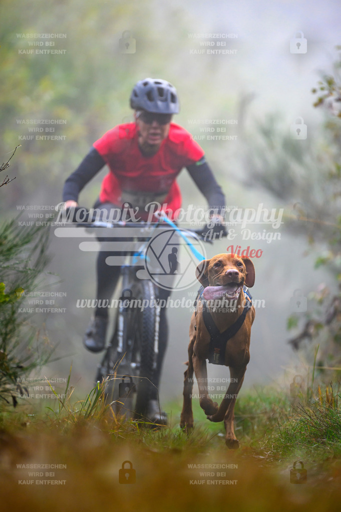 MompixPhotography_20TSB_E4_Bike-73 | PayLife