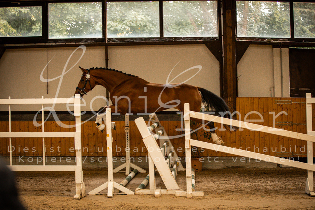 2FS_L00119 | Leoni Ertmer Photography - Realisiert mit Pictrs.com