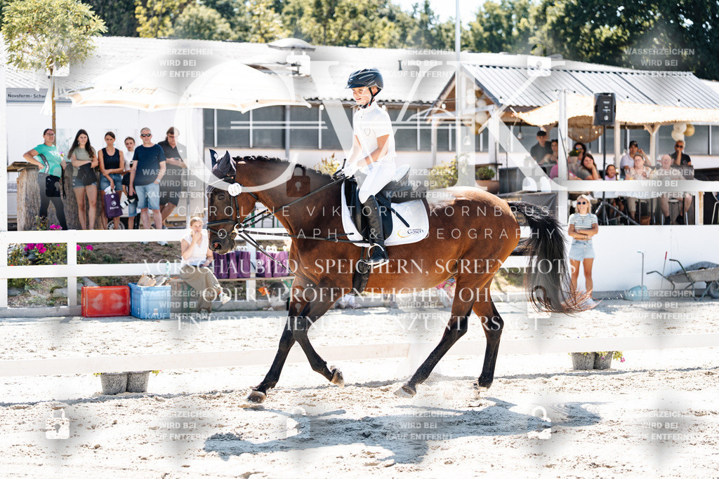 CK902558 | Turnierfotografie Pferdefotografie Trier Rheinland-Pfalz Pferdesport Reitsport Tierfotografie Sportfotografie Pferdevideo Pferdevideografie Equestrianvideography equestrianphotography  - Realisiert mit Pictrs.com