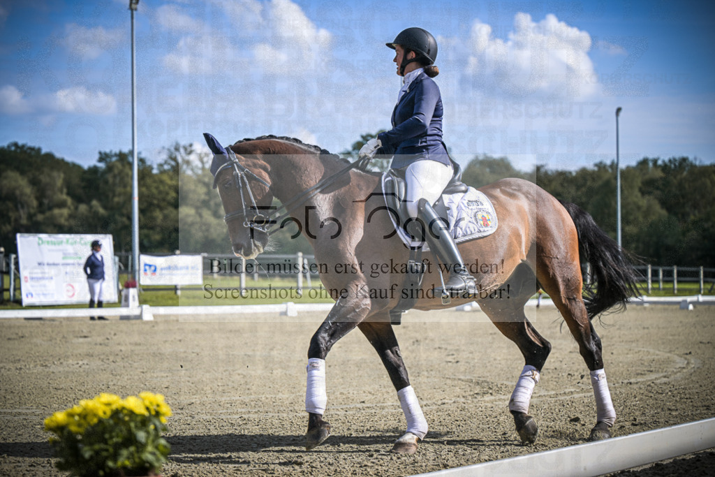 DOS_0202 | Entdecke hochwertige Reitturnierfotos von Foto Oger. Professionell, emotional und authentisch – jetzt Lieblingsmomente im Shop bestellen.Deutschlandweite Turnierfotografie. - Realisiert mit Pictrs.com