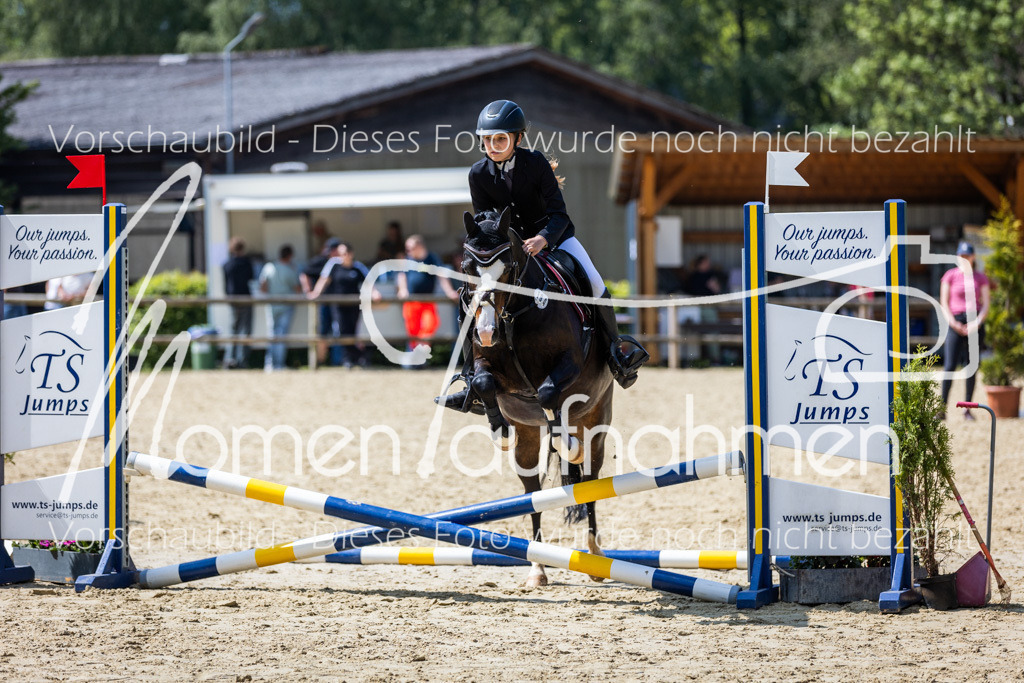 Donop24-SprRW-017 | MomenTaufnahmen Pferdesportfotos