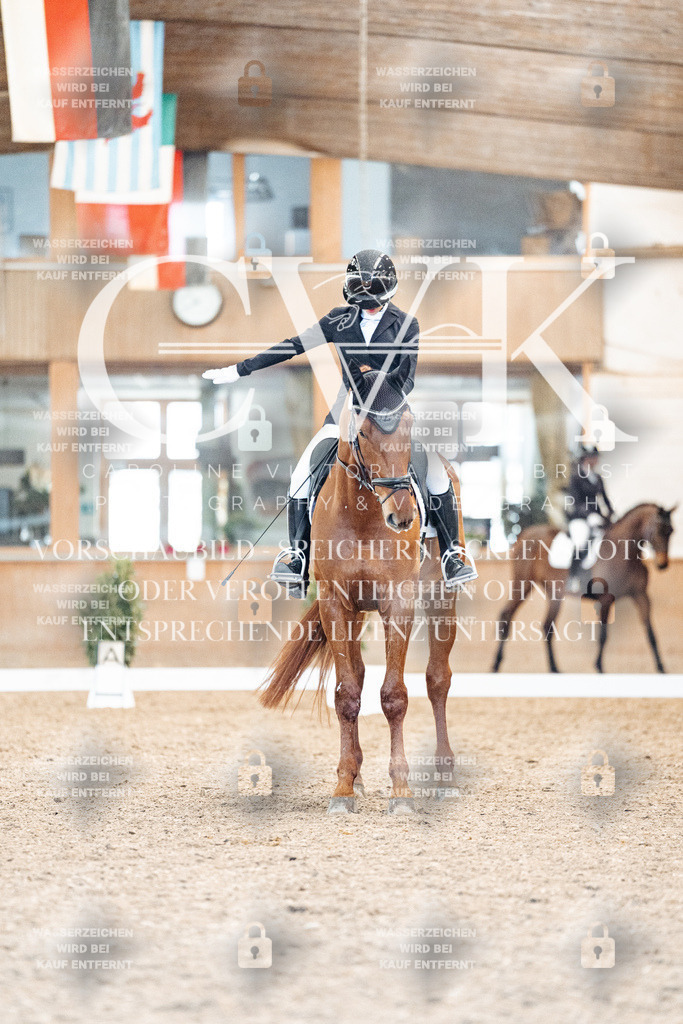 CK908754 | Turnierfotografie Pferdefotografie Trier Rheinland-Pfalz Pferdesport Reitsport Tierfotografie Sportfotografie Pferdevideo Pferdevideografie Equestrianvideography equestrianphotography  - Realisiert mit Pictrs.com