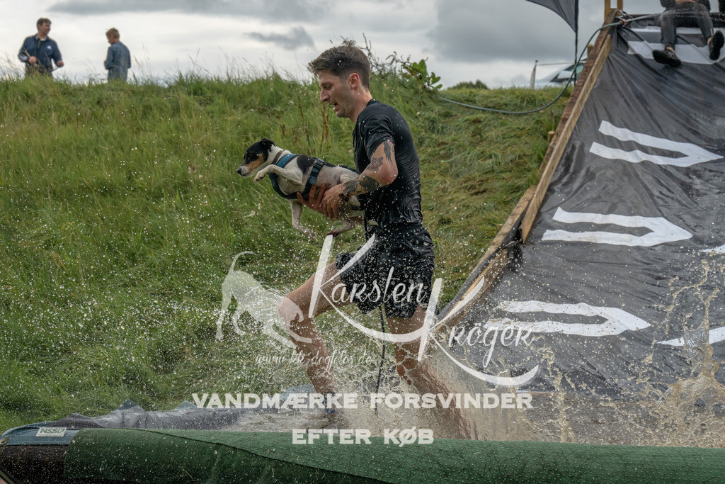 1543_ZZ90180 | kk-dogfotos